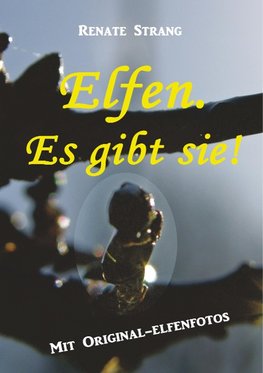 Elfen. Es gibt sie!