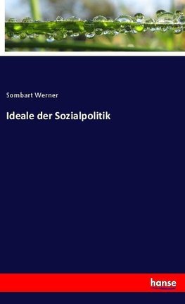 Ideale der Sozialpolitik