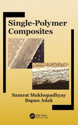 Single-Polymer Composites