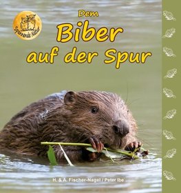 Dem Biber auf der Spur