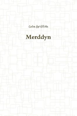 Merddyn