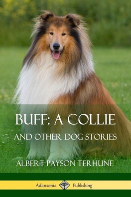 Buff; A Collie