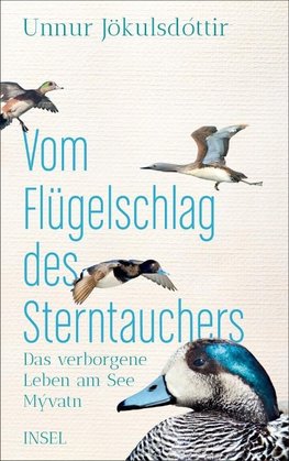 Vom Flügelschlag des Sterntauchers