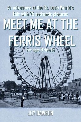 MEET ME AT THE FERRIS WHEEL