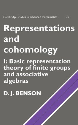 Representations and Cohomology