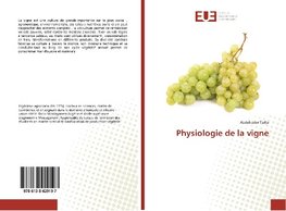 Physiologie de la vigne