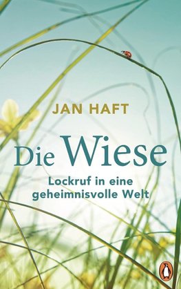 Die Wiese