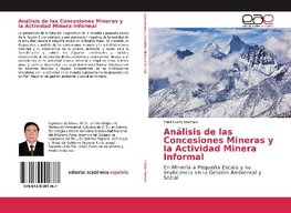 Análisis de las Concesiones Mineras y la Actividad Minera Informal