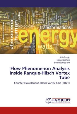 Flow Phenomenon Analysis Inside Ranque-Hilsch Vortex Tube