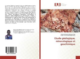 Etude géologique, mineralogique et geochimique