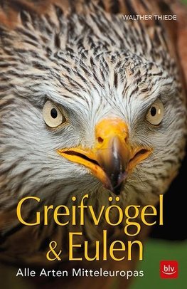 BLV Greifvögel & Eulen