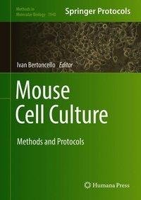 Mouse Cell Culture