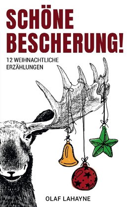 Schöne Bescherung!