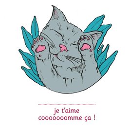 Je t'aime cooooooomme ça ! - illustré par Anne Bory