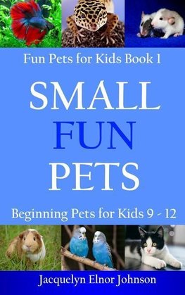 Small Fun Pets