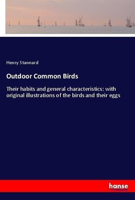 Outdoor Common Birds