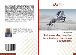 Traitement des plaies chez les primates et les chevaux à Lubumbashi