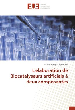 L'élaboration de Biocatalyseurs artificiels à deux composantes