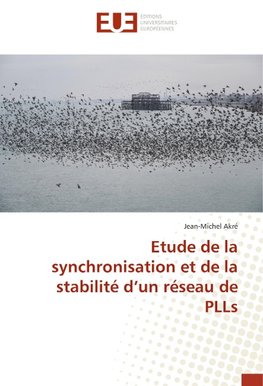 Etude de la synchronisation et de la stabilité d'un réseau de PLLs