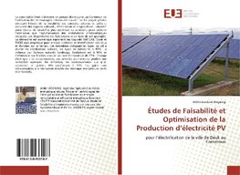 Études de Faisabilité et Optimisation de la Production d'électricité PV