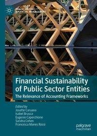 Financial Sustainability of Public Sector Entities