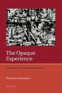 The Opaque Experience