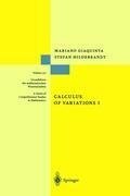 Calculus of Variations I. The Langrangian Formalism