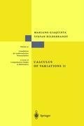 Calculus of Variations II. The Hamilton Formalism