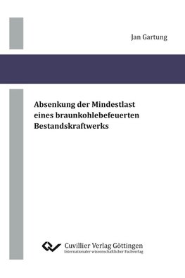 Absenkung der Mindestlast eines braunkohlebefeuerten Bestandskraftwerks