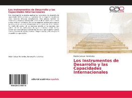 Los Instrumentos de Desarrollo y las Capacidades Internacionales