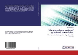 Vibrational properties of graphene nano-flakes