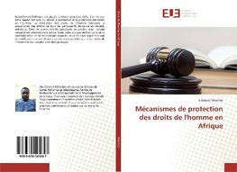 Mécanismes de protection des droits de l'homme en Afrique