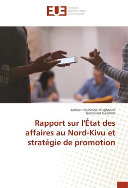 Rapport sur l'État des affaires au Nord-Kivu et stratégie de promotion