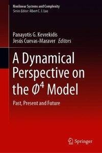 A Dynamical Perspective on the (nonlinear waves) 4  Model