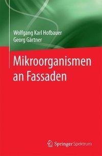 Mikroorganismen an Fassaden