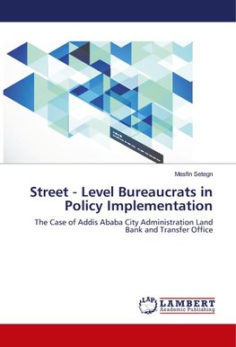 Street - Level Bureaucrats in Policy Implementation