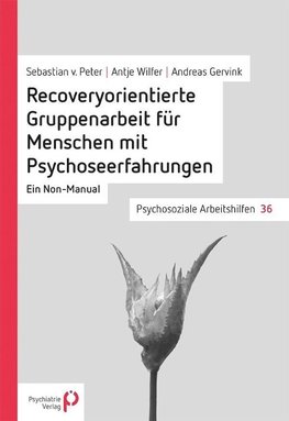 Recoveryorientierte Gruppenarbeit für Menschen mit Psychoseerfahrungen