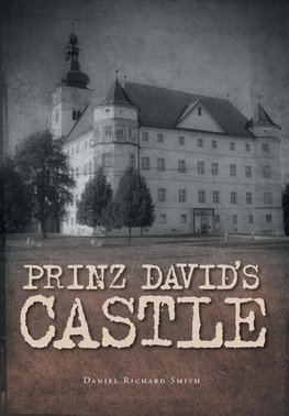 Prinz David's Castle