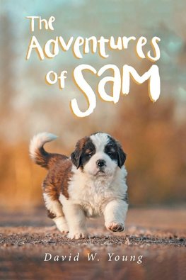 The Adventures of Sam