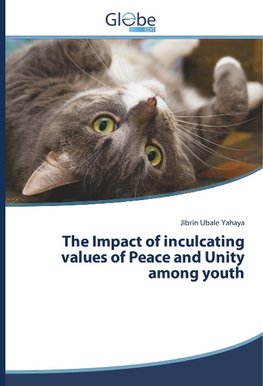 The Impact of inculcating values of Peace and Unity among youth