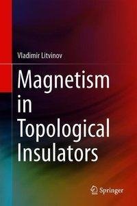 Magnetism in Topological Insulators