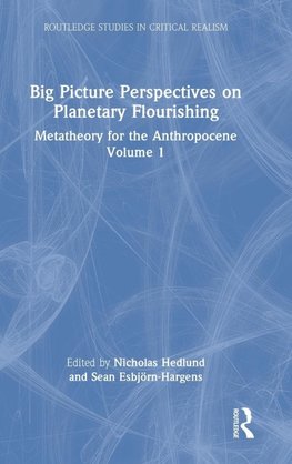 Big Picture Perspectives on Planetary Flourishing