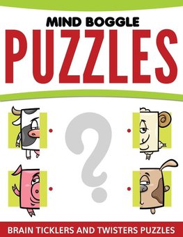 Mind Boggle Puzzles