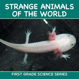 Strange Animals Of The World