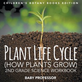 Plant Life Cycle (How Plants Grow)