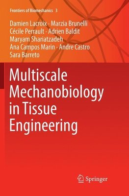 Multiscale Mechanobiology in Tissue Engineering