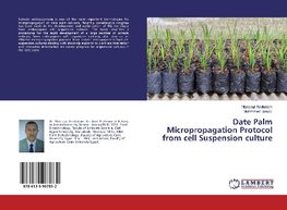 Date Palm Micropropagation Protocol from cell Suspension culture