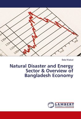 Natural Disaster and Energy Sector & Overview of Bangladesh Economy