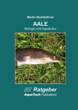 Aale (Anguillidae)