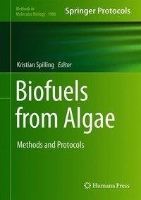 BIOFUELS FROM ALGAE 2019/E